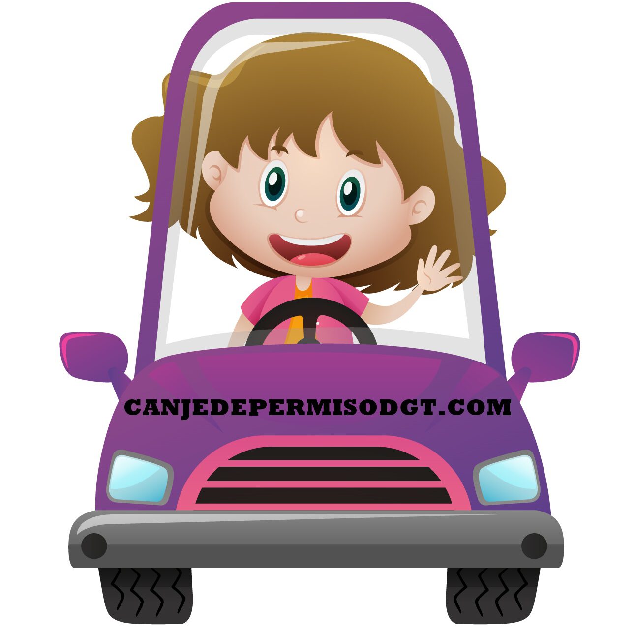 Canjedepermisodgt.com